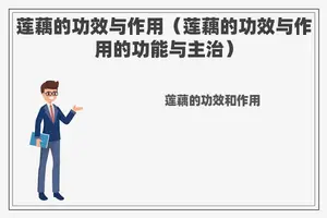 莲藕的功效与作用（莲藕的功效与作用的功能与主治）