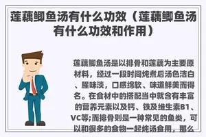 莲藕鲫鱼汤有什么功效（莲藕鲫鱼汤有什么功效和作用）