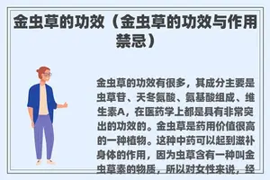 金虫草的功效（金虫草的功效与作用禁忌）