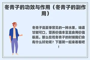 冬青子的功效与作用（冬青子的副作用）