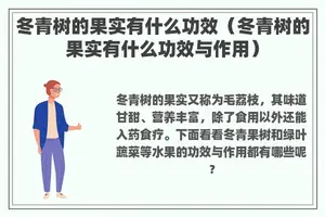 冬青树的果实有什么功效（冬青树的果实有什么功效与作用）
