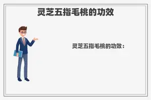 灵芝五指毛桃的功效