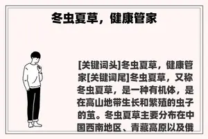 冬虫夏草，健康管家