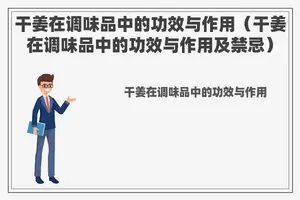 干姜在调味品中的功效与作用（干姜在调味品中的功效与作用及禁忌）