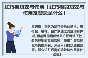 红巧梅功效与作用（红巧梅的功效与作用及禁忌是什么）