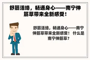 舒筋活络，畅通身心——南宁伸筋草带来全新感受！