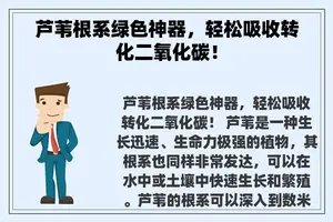 芦苇根系绿色神器，轻松吸收转化二氧化碳！