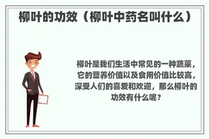 柳叶的功效（柳叶中药名叫什么）
