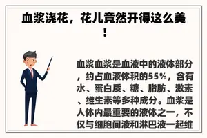 血浆浇花，花儿竟然开得这么美！