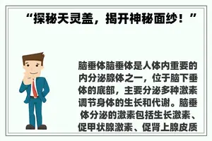 “探秘天灵盖，揭开神秘面纱！”