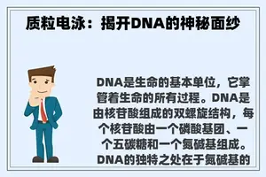 质粒电泳：揭开DNA的神秘面纱