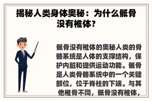 揭秘人类身体奥秘：为什么骶骨没有椎体？