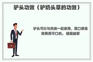 驴头功效（驴奶头草的功效）