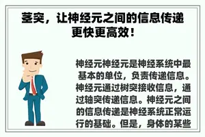 茎突，让神经元之间的信息传递更快更高效！