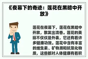 《夜幕下的奇迹:莲花在黑暗中开放》 《夜幕下的奇迹:莲花在黑暗中开放》