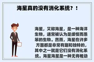 海星真的没有消化系统？！