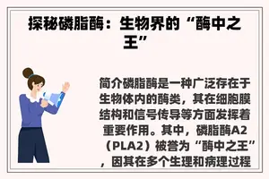 探秘磷脂酶：生物界的“酶中之王”
