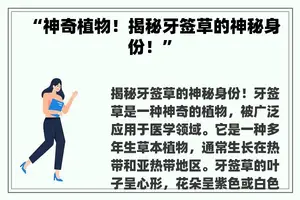 “神奇植物！揭秘牙签草的神秘身份！”