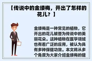 【传说中的金缕梅，开出了怎样的花儿？】