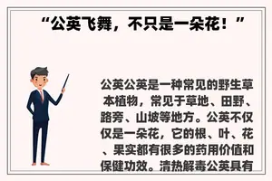 “公英飞舞，不只是一朵花！”