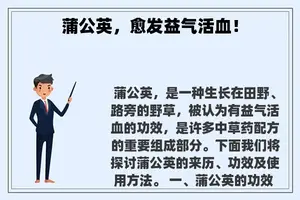 蒲公英，愈发益气活血！