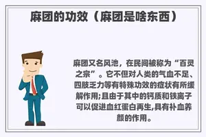 麻团的功效（麻团是啥东西）