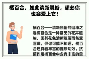 橘百合，如此清新脱俗，想必你也会爱上它！