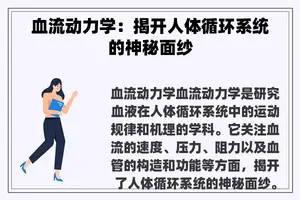 血流动力学：揭开人体循环系统的神秘面纱