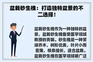 盆栽砂生槐：打造独特盆景的不二选择！