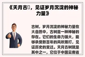 《天月古樹，见证岁月沉淀的神秘力量》