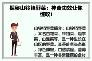 探秘山铃铛野菜：神奇功效让你惊叹！