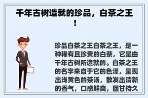 千年古树造就的珍品，白茶之王！
