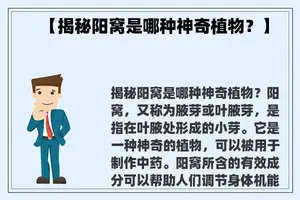 【揭秘阳窝是哪种神奇植物？】