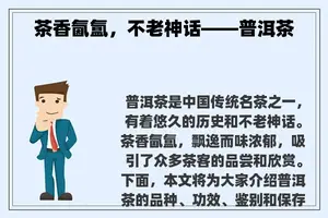 茶香氤氲，不老神话——普洱茶