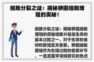 细胞分裂之谜：揭秘卵圆细胞增殖的奥秘！