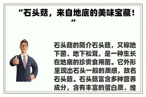 “石头菇，来自地底的美味宝藏！”