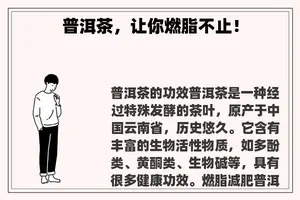 普洱茶，让你燃脂不止！