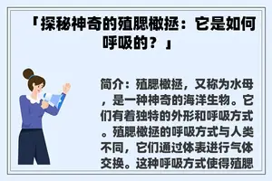 「探秘神奇的殖腮橄拯：它是如何呼吸的？」