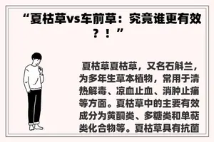 “夏枯草vs车前草：究竟谁更有效？！”