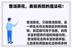 普洱茶花，美容养颜的魔法花！