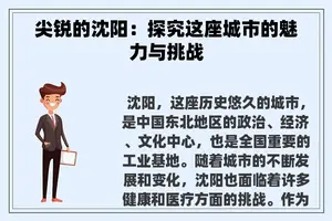 尖锐的沈阳：探究这座城市的魅力与挑战