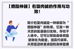 【燃脂神器】右旋肉碱的作用与功效！