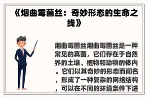 《烟曲霉菌丝：奇妙形态的生命之线》