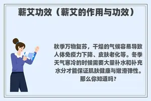 蕲艾功效（蕲艾的作用与功效）