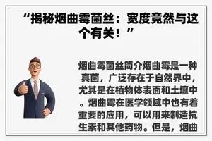 “揭秘烟曲霉菌丝：宽度竟然与这个有关！”