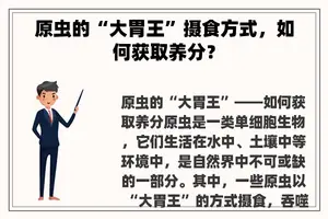 原虫的“大胃王”摄食方式,如何获取养分? 原虫的“大胃王”摄食方式,如何获取养分?