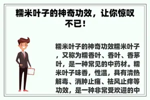 糯米叶子的神奇功效，让你惊叹不已！