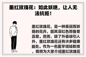 墨红玫瑰花：如此妖艳，让人无法抗拒！