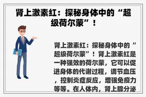 肾上激素红：探秘身体中的“超级荷尔蒙”！