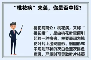 “桃花病”来袭，你是否中招？